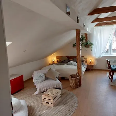 Apartment Mourek Hartmanice (Pilsen)