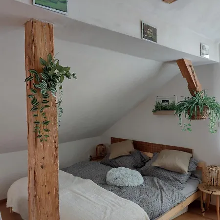 Apartment Mourek *