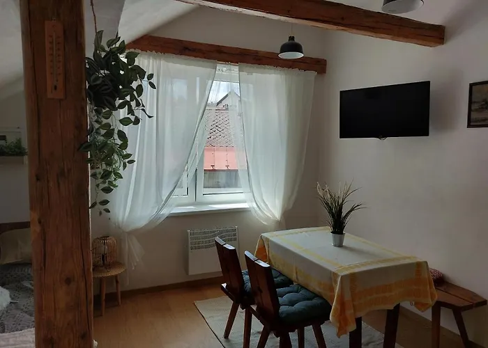 Mourek 公寓 Hartmanice (Pilsen)